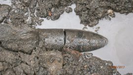 Fuite dans une canalisation enterrée. Grâce à Aquadetect, il n'a pas fallu creuser partout, seulement à l'endroit de la fuite.
